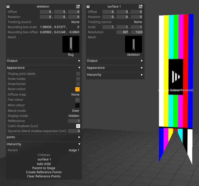 Projection surface with skinned mesh