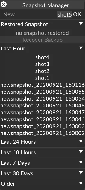 Snapshot manager